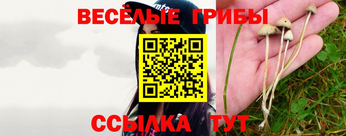 Галлюциногенные грибы Cubensis  Псилоцибиновые грибы ЛСД  Вход с VPN  закладка  Гагарин 